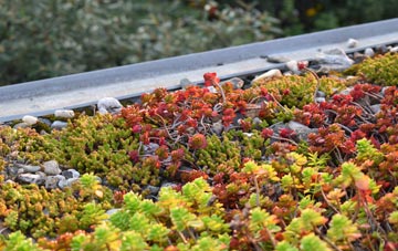 the cost of Listoft green roof installation