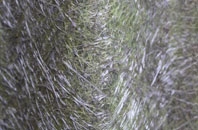 Listoft fibreglass roof work